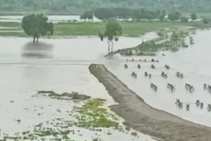 बुलंदशहर में बना करोड़ों का बांध हुआ धराशायी, डेढ़ साल पहले सीएम ने किया था शिलान्यास