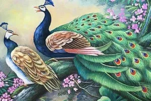 नीलकंठ मोर