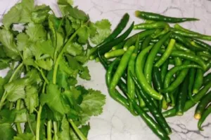 धनिया हो या हरी मिर्च, महीनों तक करें स्टोर, बस अपनाएं ये आसान तरीका