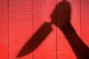 पत्नी ने रात के खाने में नहीं बनाई बिरयानी, पति ने घोंप दिया चाकू