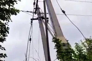 संभल: खेत में टूटकर गिरा बिजली का तार, किसान समेत भेैंस की मौत