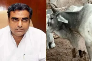 गौवंश को लंपी से बचाना राज्य सरकार की सर्वोच्च प्राथमिकता- मंत्री कटारिया