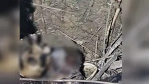 हरिद्वार: डेंसो चौक के एक खेत में मिला युवक-युवती का कंकाल, शिनाख्त में लगी पुलिस