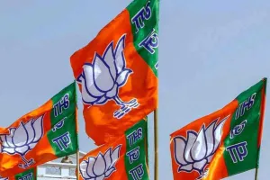 दिल्ली में पटाखों पर प्रतिबंध को लेकर भाजपा ने केजरीवाल पर साधा निशाना, कही ये बात