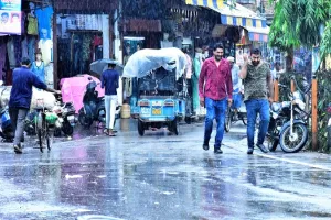 मुरादाबाद : 24 घंटे में 299.90 मिलीमीटर हुई वर्षा, फसलों को हुआ भारी नुकसान