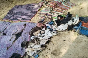 हमीरपुर: दिये से लगी आग में तीन घर जले, पटाखों से भी छप्पर में आग लगी