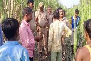 बहराइच: ग्रामीण को तेंदुए ने दौड़ाया, गाय को बनाया निवाला