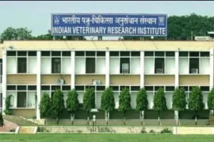 बरेली: बदले नियम, आईवीआरआई में सुबह 9 बजे से शुरू होगी पशुओं की ओपीडी