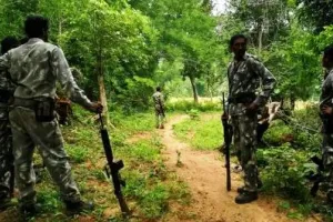 छत्तीसगढ़ पुलिस ने 2020 से बस्तर में माओवादियों के आठ आपूर्ति नेटवर्क किये ध्वस्त, 38 गिरफ्तार