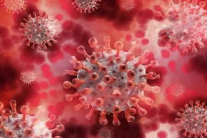 रायबरेली में बढ़ रहा कोरोना, 19 पहुंची एक्टिव मरीजों की संख्या