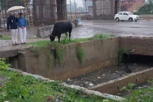 बरेली: पांच लाख में बदायूं रोड का नाला साफ कराया फिर भी दो चैंबर जाम