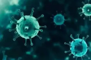 पुणे में मिला कोरोना के नए वैरिएंट का पहला मरीज, BMC ने जारी की एडवाइजरी