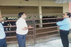 अमरोहा: डीएम ने किया गोशाला का निरीक्षण, दिए निर्देश
