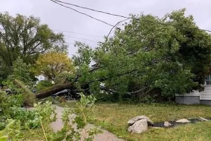 कनाडा में फियोना तूफान से भारी नुकसान, 660 मिलियन कनाडाई डॉलर की बीमाकृत की हुई क्षति