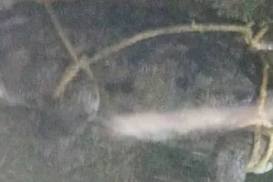 बहराइच: स्कूल के सामने पहुंचा मगरमच्छ, मचा हड़कंप …वन कर्मियों ने पकड़ा