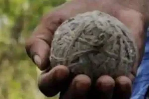 अयोध्या: पुलिस की मौजूदगी में फटा देसी बम, युवक की हथेली उड़ी