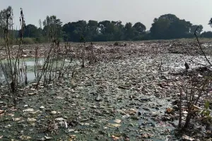 अयोध्या: न दवा का छिड़काव, न फॉगिंग की व्यवस्था, बता रहे सब ऑल इज वेल