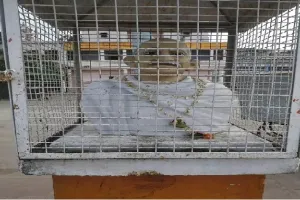 153वीं जयंती: अयोध्या से महात्मा गांधी का रहा गहरा लगाव