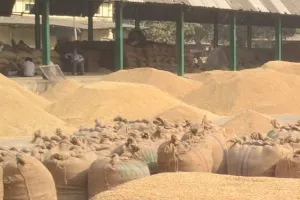 अयोध्या: मंडल में बाराबंकी के किसान अव्वल, अयोध्या तीसरे पायदान पर