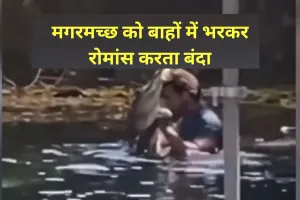 Video: अगर-मगर नहीं…ये है प्रेम की डगर! मगरमच्छ को बाहों में भरकर रोमांस करता बंदा