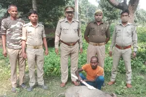 कामयाबी : सूअर का शिकार करते शिकारी गिरफ्तार, दो फरार
