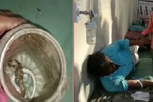 सर्पदंश : सांप के काटने पर डिब्बे में किया बंद, फिर पहुंचा अस्पताल