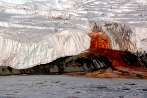 Blood Falls: अंटार्कटिका में दिखा खूनी झरना!, रहस्य सुलझाने में वैज्ञानिकों के छूटे पसीने