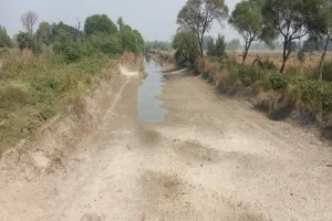 अयोध्या: नहर सूखने से परेशान हैं किसान, सिंचाई न होने से फसल हो सकती है खराब   