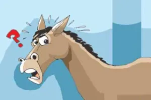 हल्द्वानी: आखिर क्यों डंपर स्वामियों को गधे के आगे कनस्तर बजाना पड़ा...?