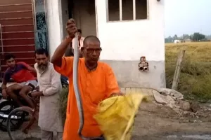 बरेली: हजारों सांप पकड़े, जिंदगियां बचाईं, मगर खुद न बच पाए