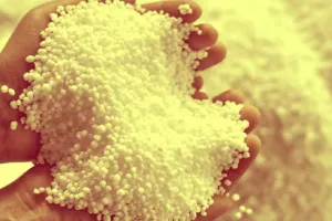 बरेली: शिकायतों पर सक्रिय हुआ विभाग, बताया पर्याप्त मात्रा में है खाद