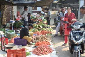 बरेली: नए आलू ने पुराने का स्वाद बिगाड़ा, कोलकाता का कटहल मंडी में छाया