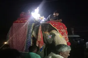 रामपुर: सैफनी में हाथी पर सवार होकर दुल्हन को लेने पहुंचा दूल्हा 