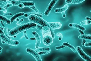 पांच तरह के जीवाणुओं की वजह से भारत में हुई 6.8 लाख मौत, अध्ययन में खुलासा