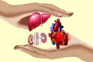 बरेली: पांच साल में 73 लोगों ने किया अंगदान, सिर्फ 10 रुपये के स्टांप से शुरू होती है प्रक्रिया