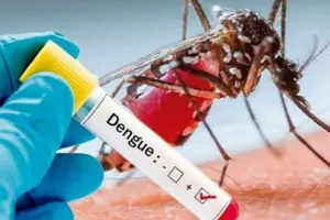 Kanpur में नहीं थम रहा डेंगू का कहर, स्वास्थ्य विभाग के सारे दावे हो रहे फेल, बढ़ती जा रही संक्रमितों की संख्या