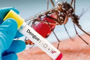 Kanpur में बढ़ रहे डेंगू के मरीज, एक्टिव केस की संख्या पहुंची 130, स्वास्थ्य विभाग की सारी व्यवस्थाएं फेल