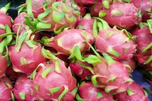 प्रयागराज: डेंगू के चलते बढ़ी इन फलों की डिमांड, आसमान छू रहे भाव