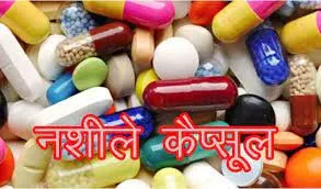 हल्द्वानी: 544 नशीले कैप्सूल के साथ एक युवक धरा गया 