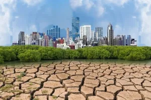 कम डकार, अधिक मांस और दूध - पशुधन किसान जलवायु संकट से निपटने में कर सकते हैं मदद 