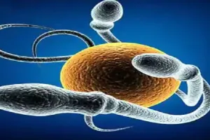 बीमारियों की भविष्यवाणी करने में करेगा मदद हार्मोन, जानिए कैसे?