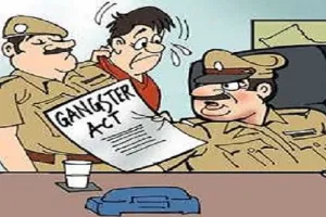 मुरादाबाद: गोकशी की आरोपी महिला समेत तीन पर लगाया गैंगेस्टर