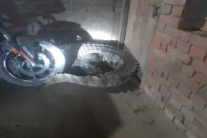 बहराइच: शिकार की तलाश में घर में घुस गया विशालकाय मगरमच्छ, वन कर्मियों ने किया रेस्क्यू