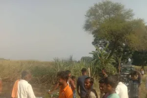 अयोध्या: संदिग्ध परिस्थितियों में गन्ने की आठ बीघा फसल जलकर हुई राख 