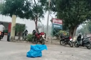 मुरादाबाद: गन्ने के खेत में मिला गोमांस, गोकशों पर मुकदमा