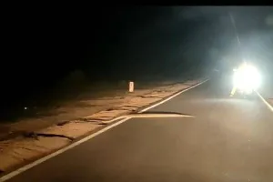 बहराइच: सड़क पर पहुंचा अजगर तो थम गया आवागमन