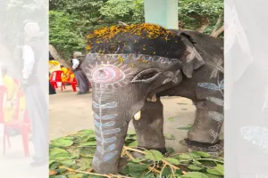 पीलीभीत: माला रेंज में कनार्टक से आए गजराजों, वनराज्य मंत्री, CCF समेत अन्य अधिकारियों ने किया स्वागत