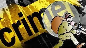 पंतनगर: प्रोफेसर का घर खंगाल गए चोर, जेवर चोरी