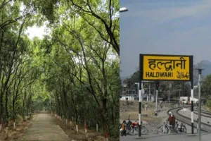 हल्द्वानी: सिटी फॉरेस्ट के लिए वन विभाग ने प्राधिकरण से मांगे  4.25 करोड़