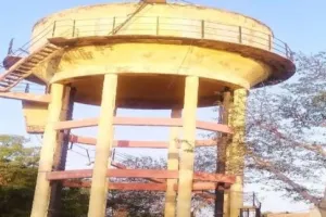 मेरठ: सड़क पर आवारा कुत्ते की मौत से लगा सदमा, पानी की टंकी से कूदी छात्रा, हालत गंभीर